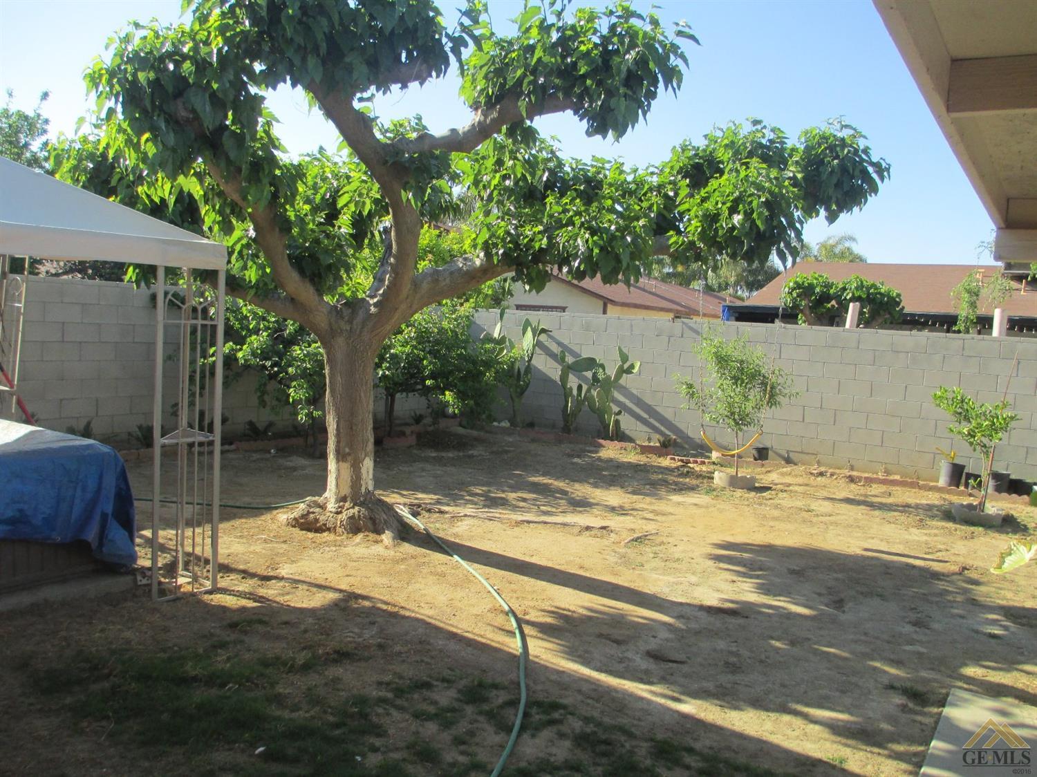 7508 Segrue Road Lamont, CA 93241 - Photo 14 of 16