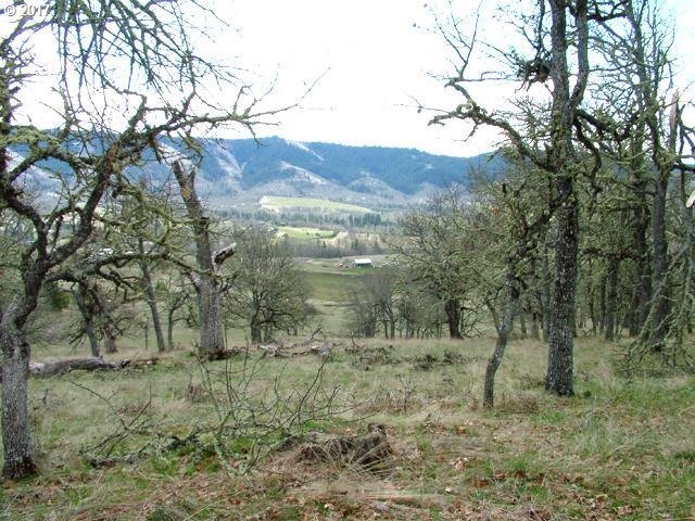 94 Oda Knight Road Lyle, WA 98635 - Photo 2 of 17 Gallery Image 2