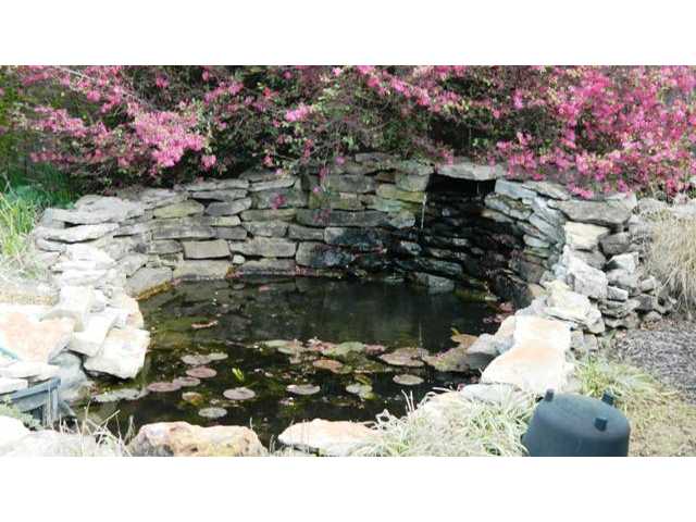 4298 Westbrook Road Bartlett, TN 38135 - Photo 21 of 25 Koi pond with blooming water lillies (blooms closed in this image)