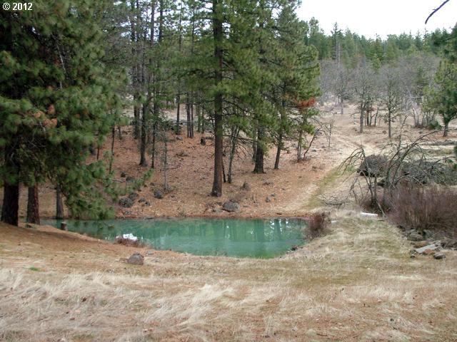 Austin Road Goldendale, WA 98620 - Photo 2 of 15 Gallery Image 2