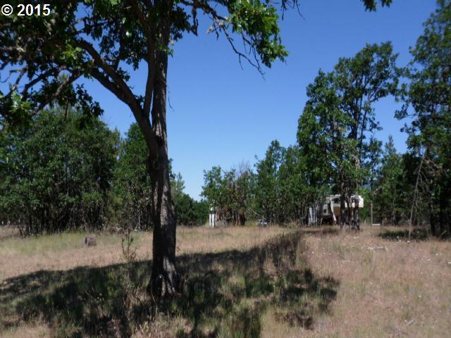442 Woodland Road Goldendale, WA 98620 - Photo 3 of 7 Gallery Image 3