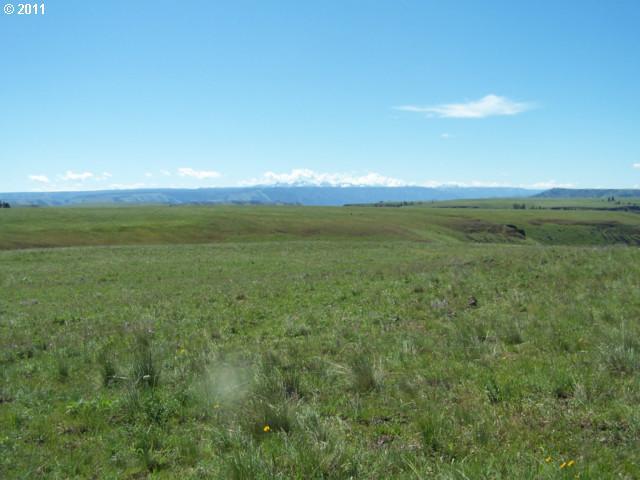 Zumwalt Road Imnaha, OR 97842 - Photo 3 of 11 Gallery Image 3
