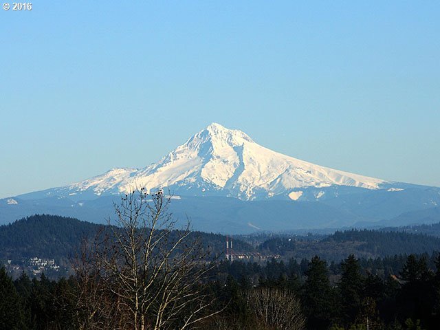 5403 Southwest View Point Terrace, Unit 201 Portland, OR 97239 - Photo 8 of 23