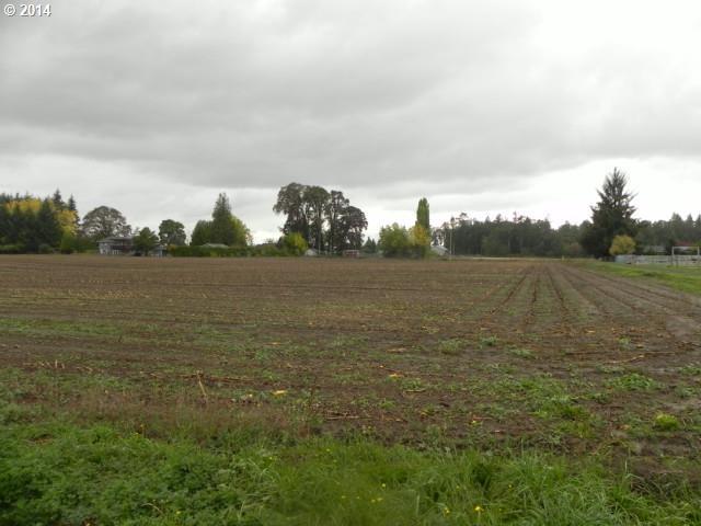 Long Road Cornelius, OR 97113 - Photo 4 of 5 Gallery Image 4