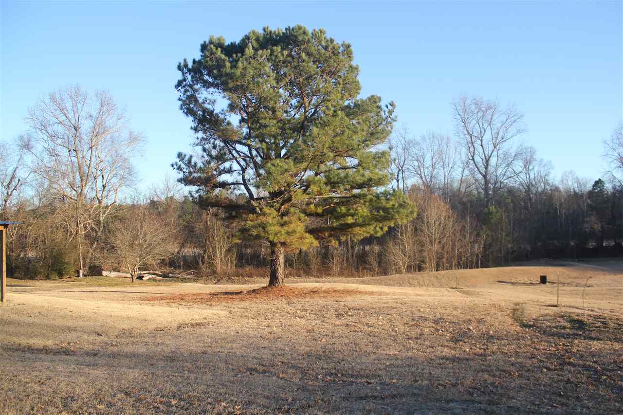 3207 South Red Banks Road Byhalia, MS 38611 - Photo 7 of 25 Gallery Image 7