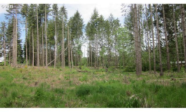 Dunivan Road Vader, WA 98593 - Photo 2 of 15 Gallery Image 2