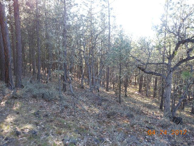 Log Cabin Road Goldendale, WA 98620 - Photo 11 of 16 Gallery Image 11