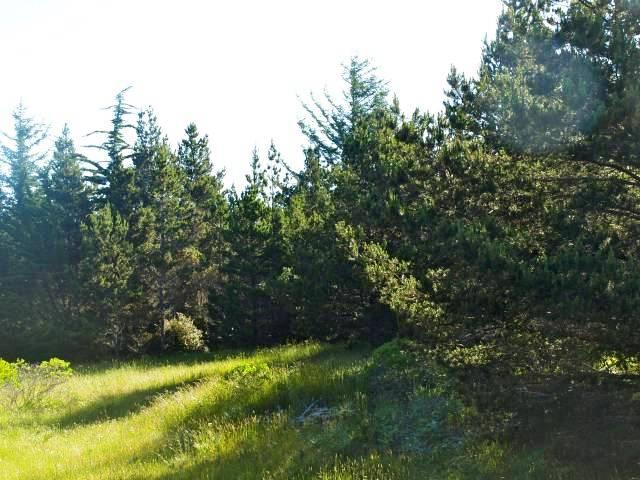 23896 Carpenterville Road Brookings, OR 97415 - Photo 12 of 13