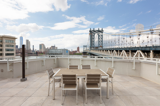 One Three Three Water Condo 133 Water St, Brooklyn, NY 11201 - Photo 6 of 6