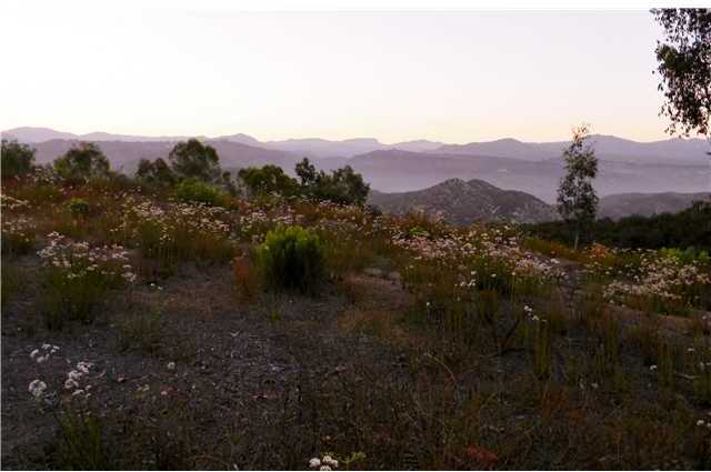 Canyon Rim Canyon Rim Al El Cajon, CA 92021 - Photo 8 of 14 Early morning looking North East