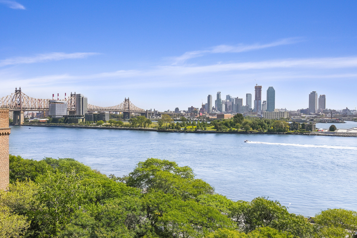 29 Beekman Place Manhattan, NY 10022 - Photo 16 of 21