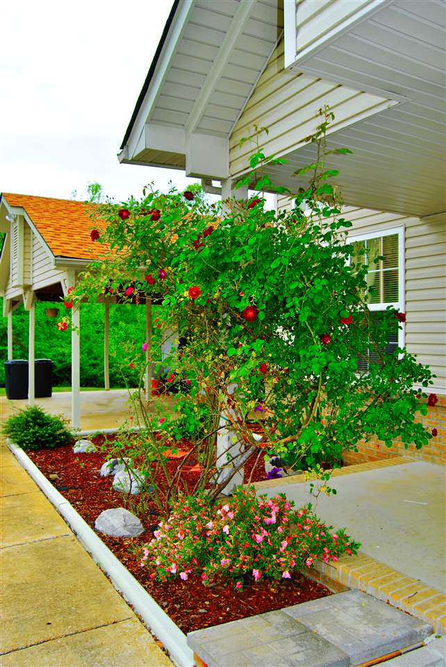 475 Gilt Edge Gin Road Burlison, TN 38015 - Photo 3 of 24 Gallery Image 3