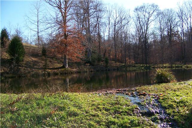 7560 Topsy Road Waynesboro, TN 38485 - Photo 24 of 30 Gallery Image 24