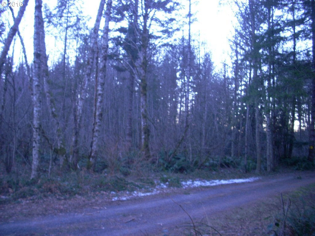 0 Aultman Road Ariel, WA 98603 - Photo 4 of 5 Gallery Image 4