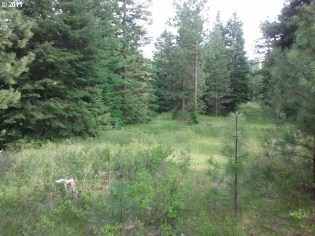 Satus Loop, Unit 70 Goldendale, WA 98620 - Photo 4 of 10 Gallery Image 4