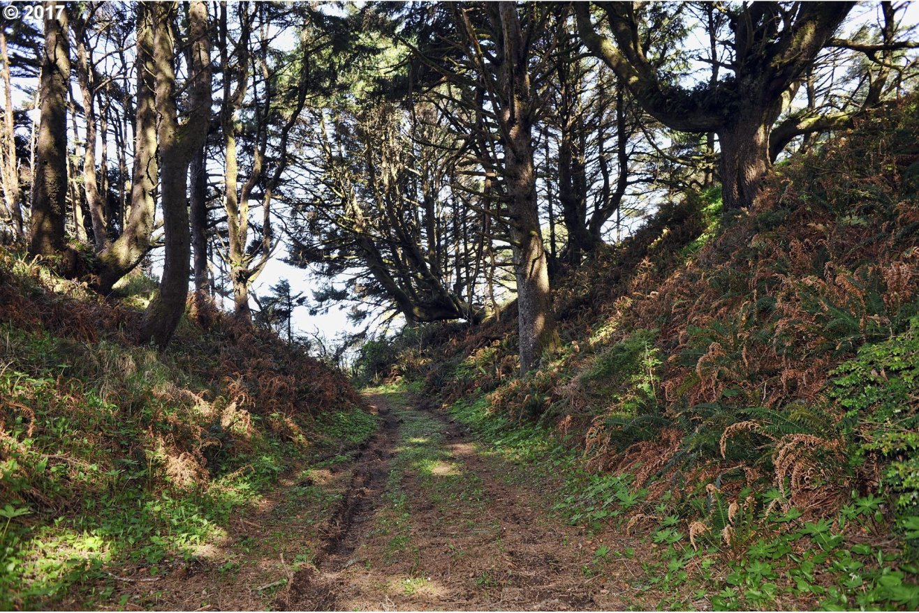 27944 Boomer Bend Road Gold Beach, OR 97444 - Photo 31 of 32 Gallery Image 31