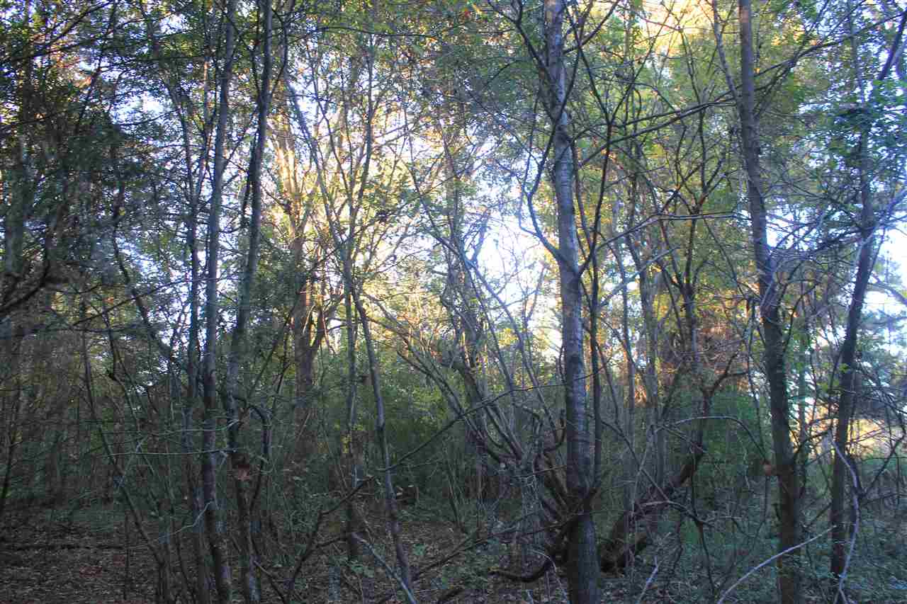 14352 Cathy Road Byhalia, MS 38611 - Photo 14 of 25 Gallery Image 14