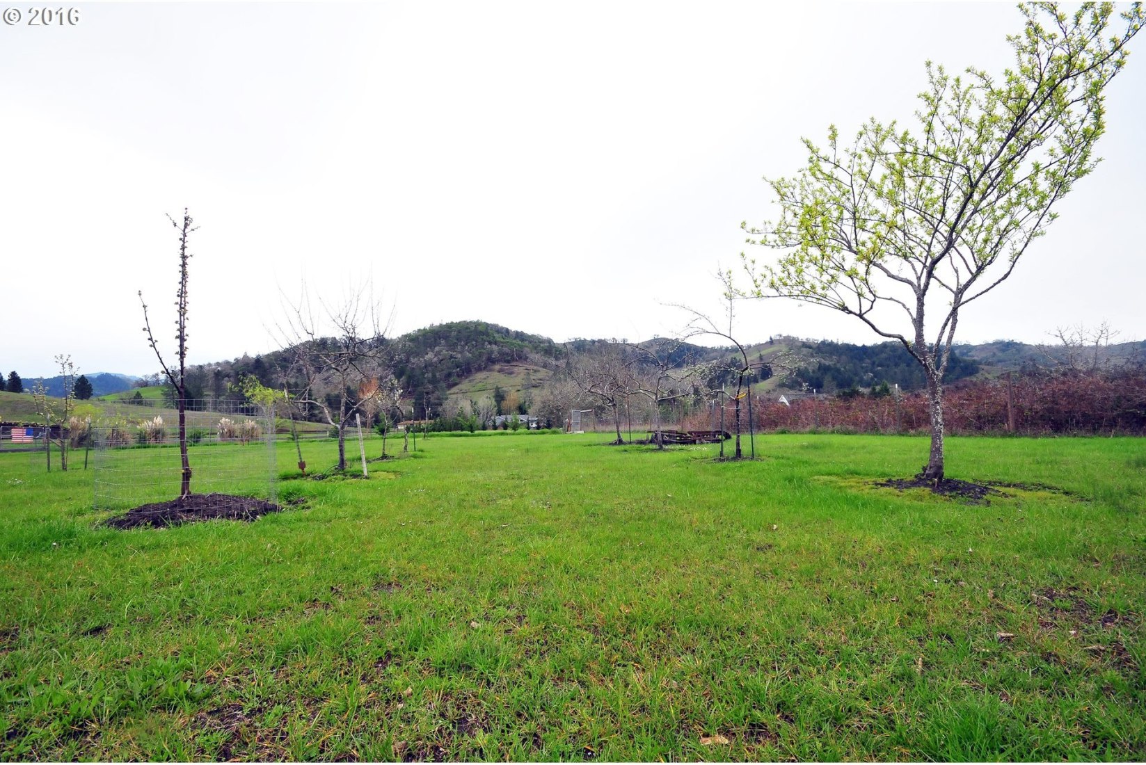 1606 Buckhorn Road Roseburg, OR 97470 - Photo 31 of 31 Gallery Image 31
