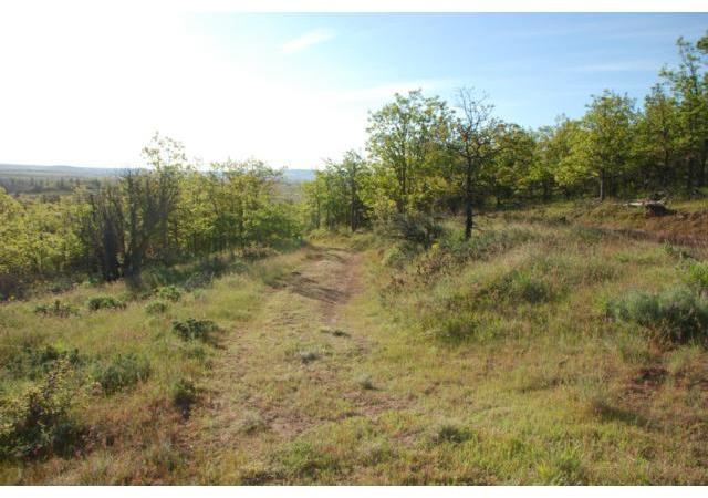 Trevor Road Goldendale, WA 98620 - Photo 1 of 5 Gallery Image 1