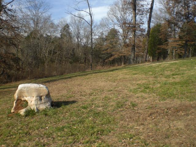 4700 Akins Road Cunningham, TN 37052 - Photo 3 of 10
