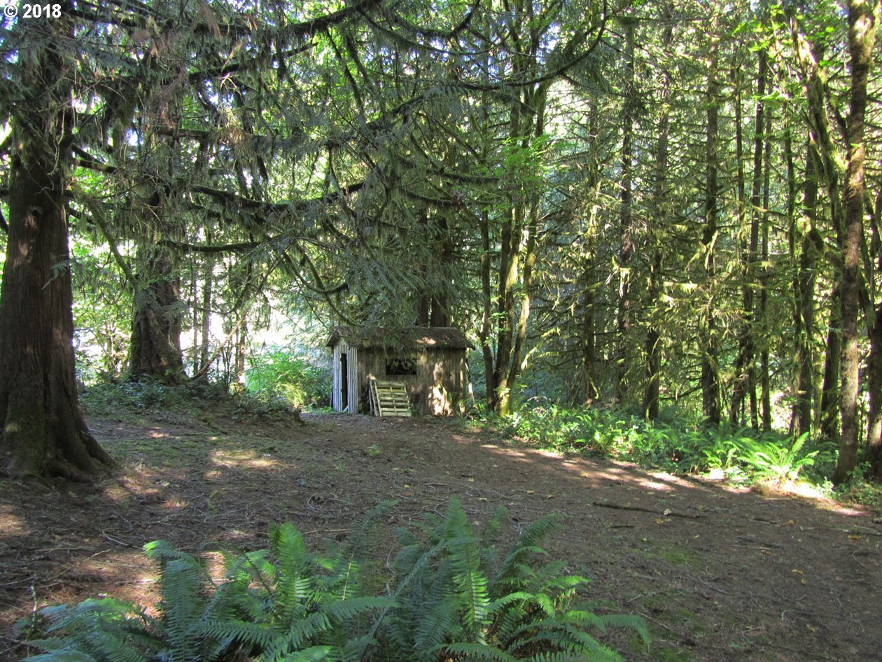 36946 Parsons Creek Road Springfield, OR 97478 - Photo 19 of 26 Gallery Image 19