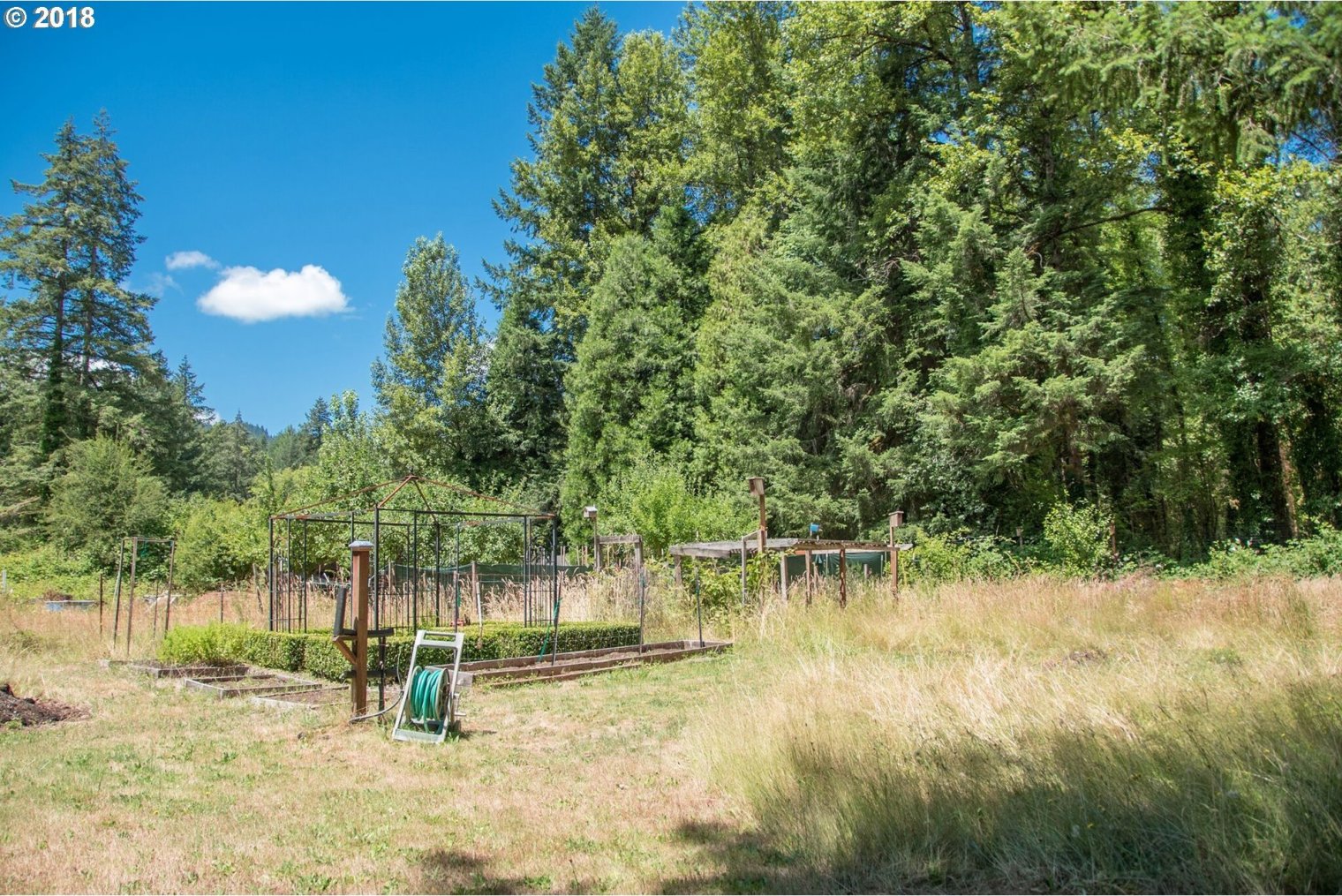 90873 Angels Flight Road Leaburg, OR 97489 - Photo 21 of 30 Gallery Image 21