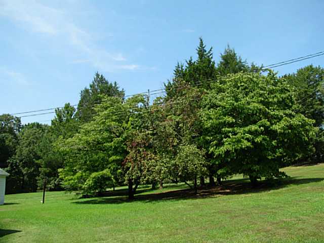 2544 Chambers Store Road Michie, TN 38357 - Photo 14 of 25 Gallery Image 14