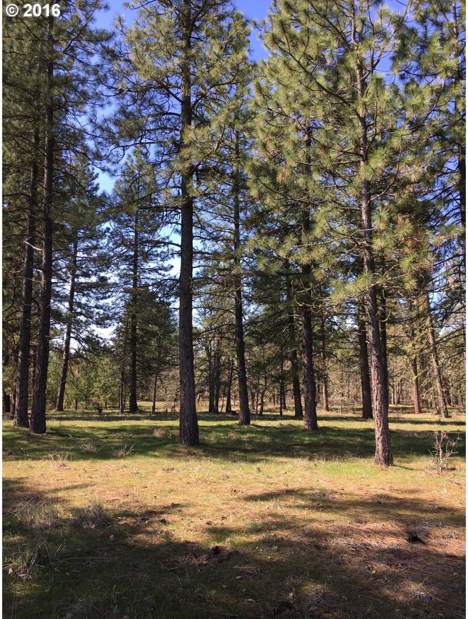 Whispering Pines Goldendale, WA 98620 - Photo 9 of 12