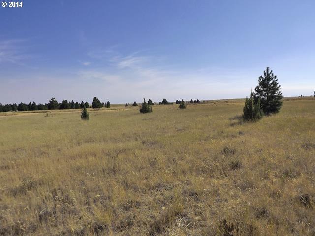 Dot Road Roosevelt, WA 99356 - Photo 4 of 10 Gallery Image 4