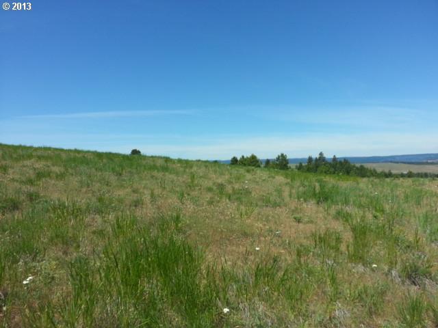 Schilling Road, Unit 113 Lyle, WA 98635 - Photo 8 of 14 Gallery Image 8