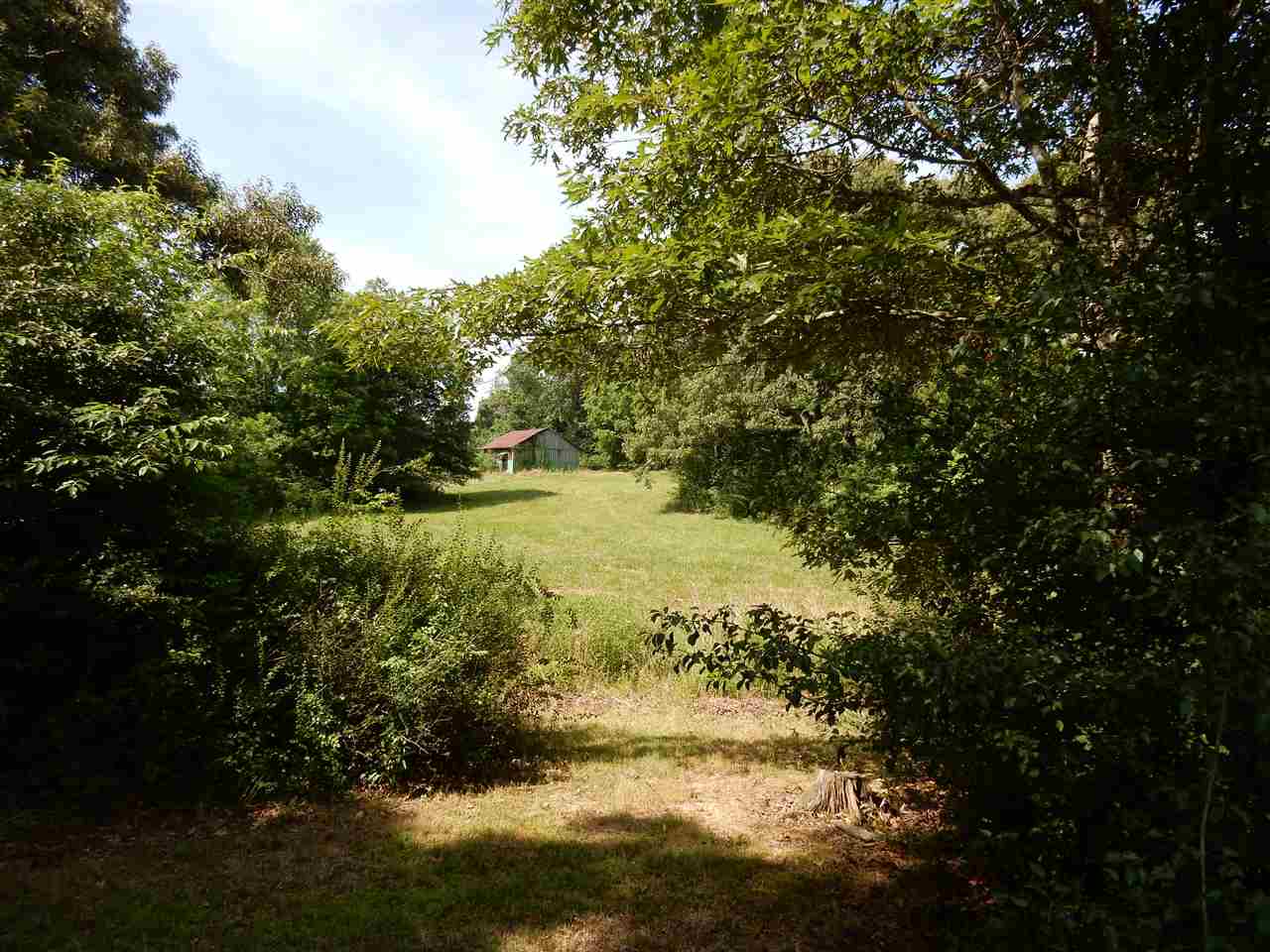 Gallery Image 7