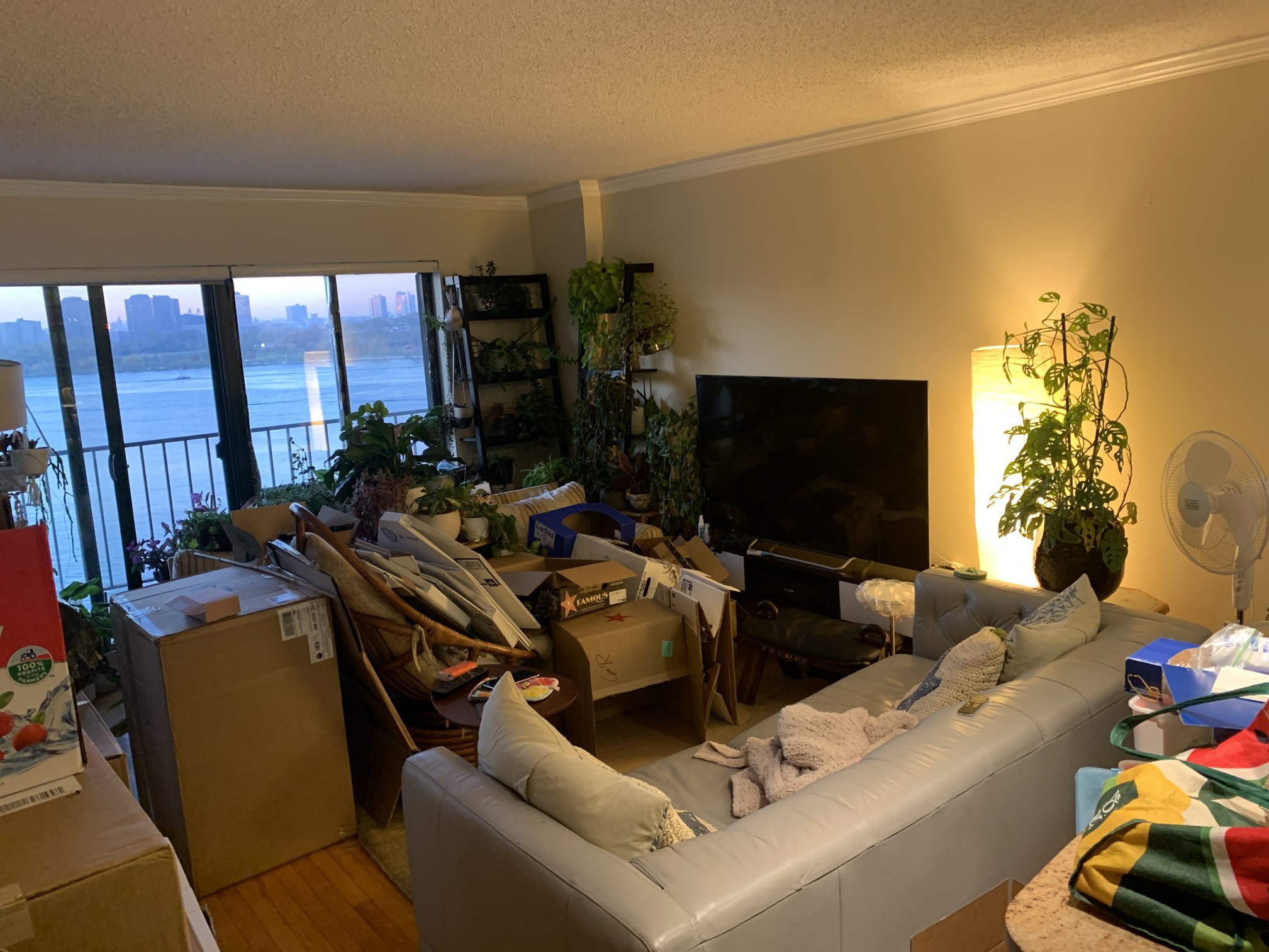 25-40 Shore Boulevard, Unit 6R Queens, NY 11102 - Photo 4 of 25