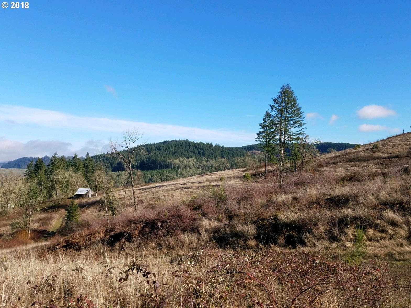 85910 Doane Road Eugene, OR 97402 - Photo 1 of 15 Gallery Image 1
