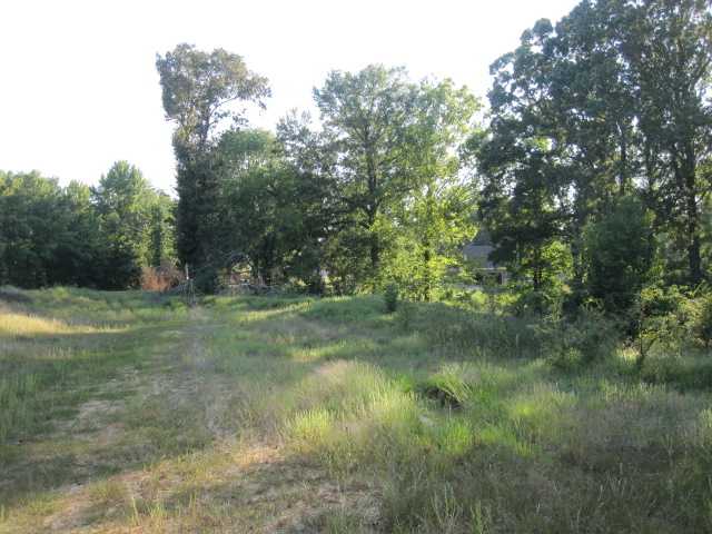 0 Crawford Road Hernando, MS 38632 - Photo 2 of 8