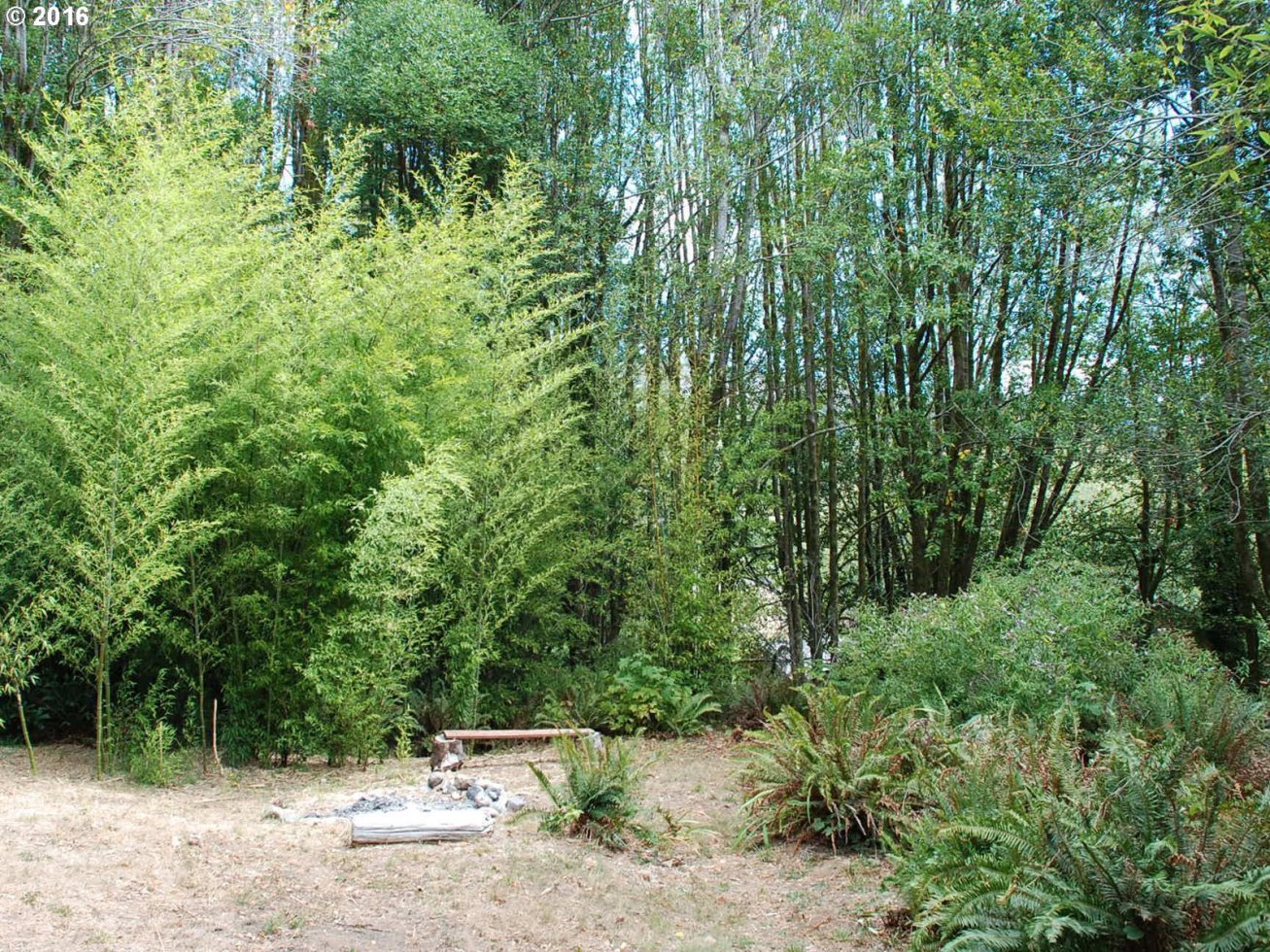 292 Winchuck River Road Brookings, OR 97415 - Photo 28 of 30 Gallery Image 28