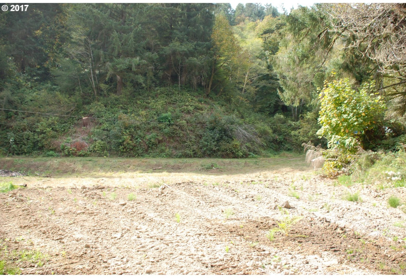 1040 Lower Smith River Road Reedsport, OR 97467 - Photo 26 of 27 Gallery Image 26