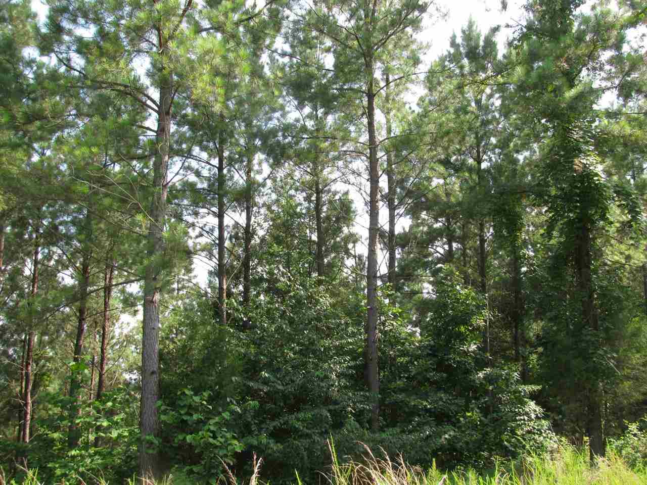 Rockhouse Road Linden, TN 37096 - Photo 8 of 13 Gallery Image 8