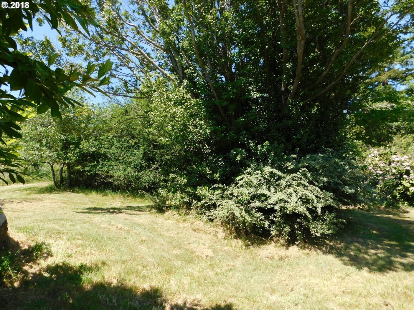 1600 Harris Street Myrtle Point, OR 97458 - Photo 6 of 26 Gallery Image 6