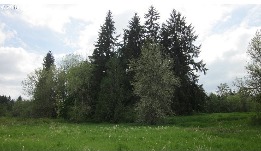 Walker Road Toledo, WA 98591 - Photo 27 of 27