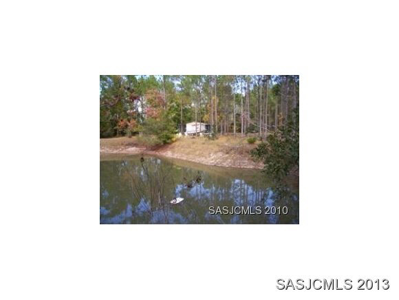5685 Datil Pepper Road St. Augustine, FL 32086 - Photo 10 of 10 View of home across pond