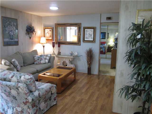 7313 Santa Barbara Street, Unit 294 Carlsbad, CA 92011 - Photo 6 of 14