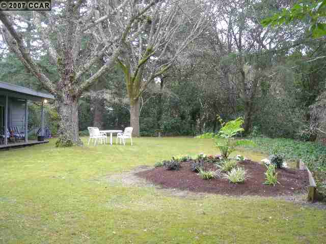 124 Orchard Road Orinda, CA 94563 - Photo 1 of 1 Gallery Image 1