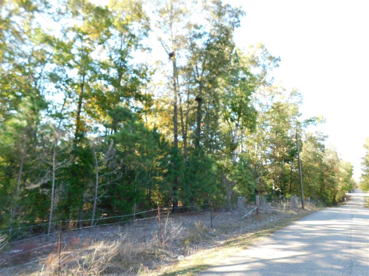 1 Caney Branch Road Adamsville, TN 38310 - Photo 10 of 12 Gallery Image 10