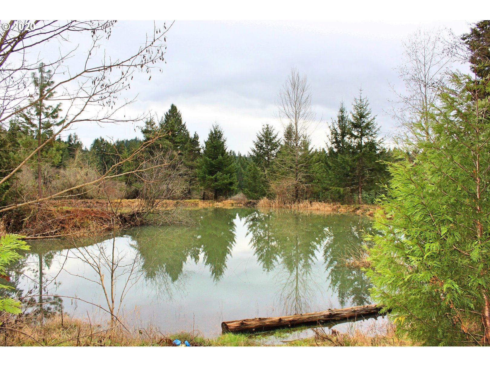 39345 Hileman Road Marcola, OR 97454 - Photo 20 of 29 Gallery Image 20