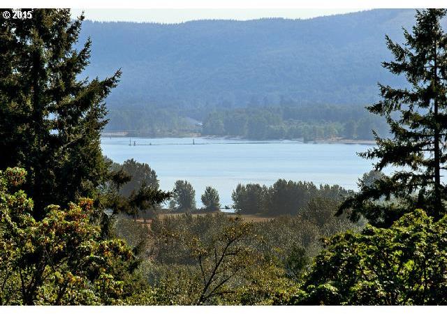 259 Large Road Kalama, WA 98625 - Photo 9 of 23 Gallery Image 9