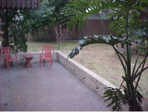 507 Prince Road St. Augustine, FL 32086 - Photo 5 of 5