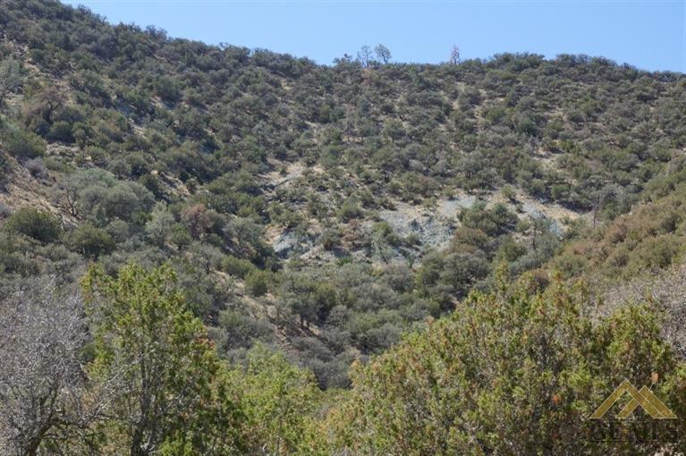 0 High Meadow Road Caliente, CA 93518 - Photo 2 of 5