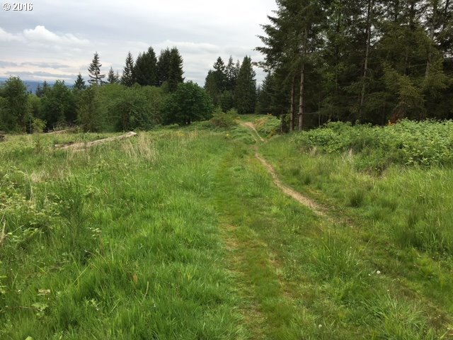 0 Lane Road Woodland, WA 98674 - Photo 9 of 15 Gallery Image 9
