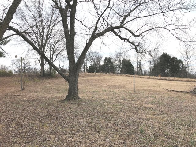 6539 Chestnut Bluff Road Friendship, TN 38034 - Photo 10 of 22 Gallery Image 10