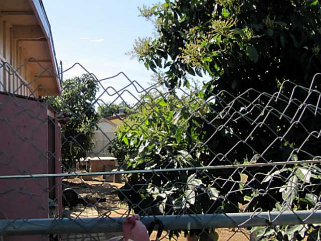 1147 East Fallbrook Street Fallbrook, CA 92028 - Photo 16 of 18